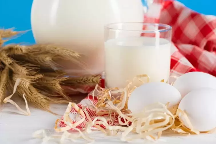 Ovos e leite para unha dieta de beber