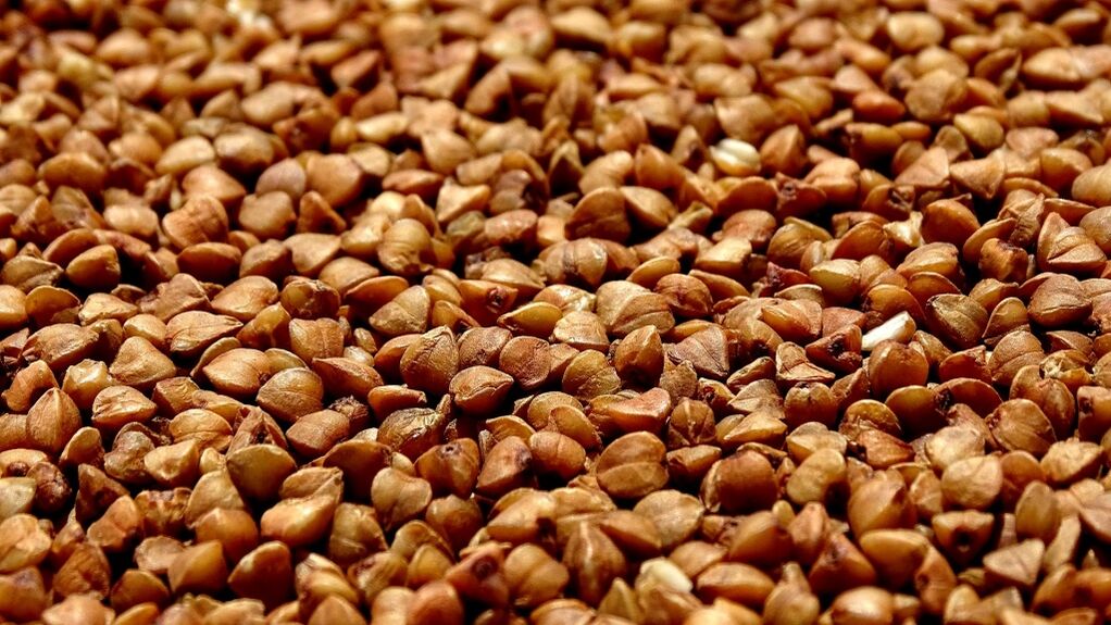 Tipos de dieta